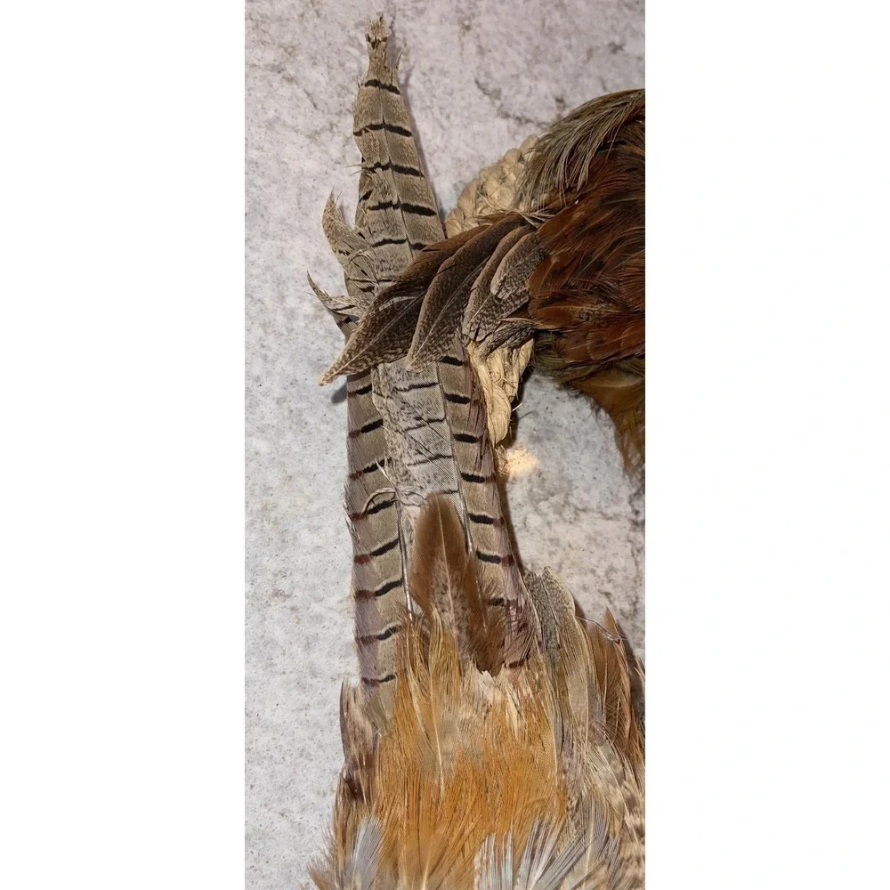 Ring Neck Pheasant Feathers Tails Pelt Down Heart Wreath Taxidermy 15